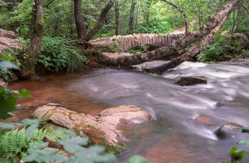 La rivière du saut des Cuves à Gerardmer