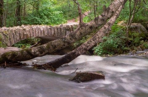 La rivière du saut des Cuves à Gerardmer