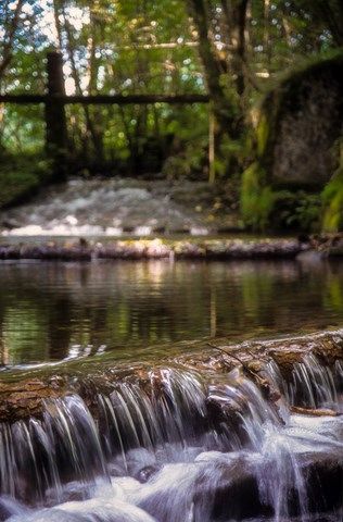 Le ruisseau du Reherrey à Vecoux