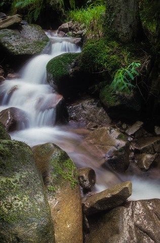 Cascade sur un lit de pierre