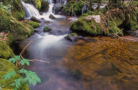 ruisseau après une cascade