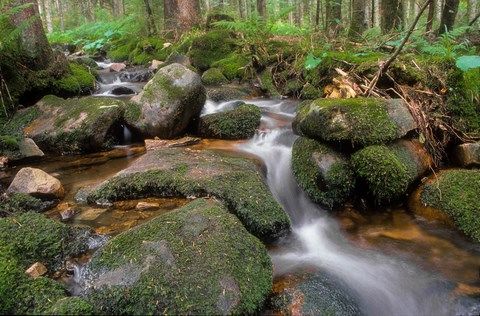 ruisseau serpentant entre les roches