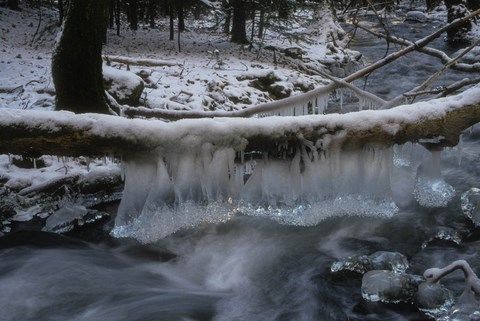 La glace sur un ruisseau