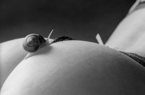 Escargot remontant sur la fesse d'une femme
