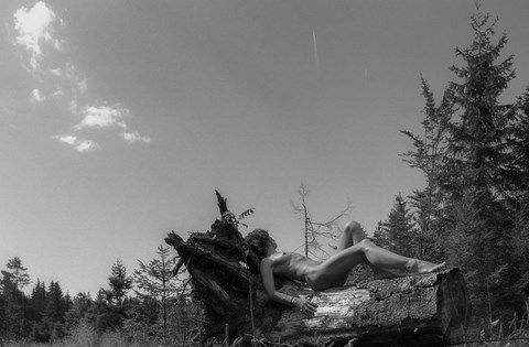 Femme nue allongée sur une souche en forêt