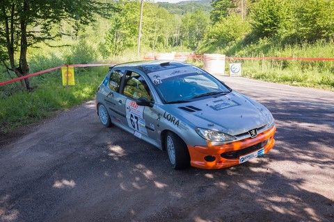 Honore-Simard sur Peugeot 206 au rallye de la Luronne 2019