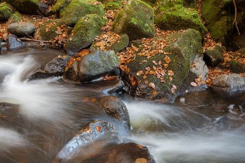 Ruisseau du Géhard