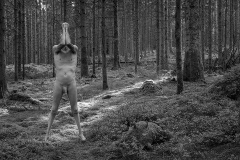 Homme nu, de face, debout entre les arbres